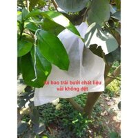 500 Túi bao trái bưởi (30x35cm)