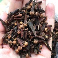 [500g-1kg] Nụ đinh hương khô nấu phở, ngâm mai quế lộ, gà ủ muối