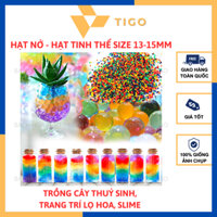 500G Hạt Nở - Hạt Tinh Thể Size 13-15mm - Trồng Cây Thuỷ Sinh, Trang Trí Lọ Hoa, Slime,...