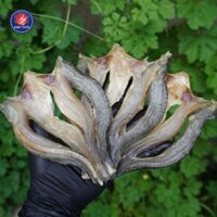 500G KHÔ CÁ LÓC CỬNG (LÓC ĐỒNG) - ĐẶC SẢN MIỀN TÂY - CUA CÀ MAU ANH THÁI
