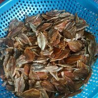 500g khô cá phèn xẻ ngon rẻ không chất bảo quản