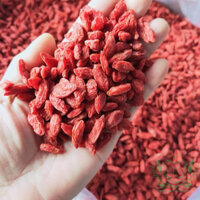 500g kỷ tử