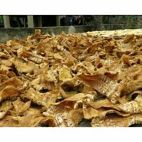 500g măng khô