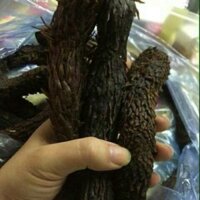 500g nhục thung dung