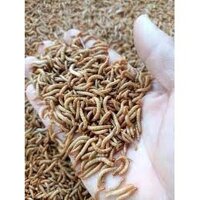 500g Sâu Gạo Sấy Thức Ăn Cho Chim Sâu Rang Cho Gà Con Đồ Ăn Cho Chuột Hamster