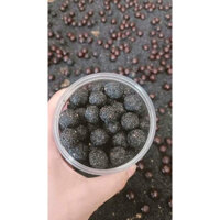 500g viên hà thủ ô mè đen