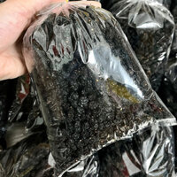 500gr DÂU TẰM SẤY KHÔ - loại 1, to đẹp, hàng chất lượng