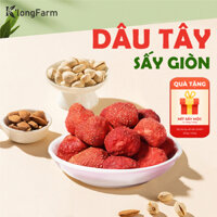 500GR Dâu tây sấy giòn nguyên quả, công nghệ sấy thăng hoa tự nhiên [ TẶNG 200G MÍT THÁI SẤY ]