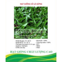 500gr Hạt giống cỏ lá gừng siêu nảy mầm (cỏ lá tre)