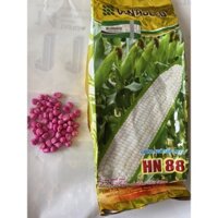 500gr Hạt Giống Ngô Nếp Lai HN88 - bắp to, thon dài, thơm, ngọt
