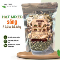 [500GR] Hạt mixed tươi 5 loại hạt dinh dưỡng cao cấp dùng nấu sữa, cháo, ngũ cốc: macca, óc chó, hạnh nhân, hạt điều s