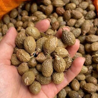 500gr HẠT ƯƠI BAY CHUẨN RỪNG/ HẠT ĐƯỜI ƯƠI