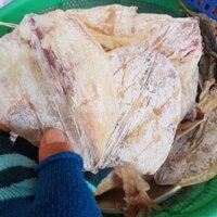 500gr mực khô loại 55 con
