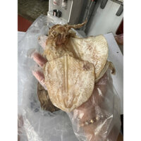 500Gr Mực Lá khô (size 50 con 1Kg) Dày mình, ngon ngọt, chất lượng