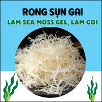 500gr Rong Sụn Gai Khô - Rong Sụn Gai dùng làm Sea Moss Gel, làm gỏi, nấu chè thanh mát, giòn ngon
