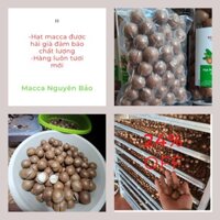 500gr Túi Hạt Macca Organic  SẠCH ( MACCA NGUYÊN BẢO)