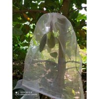 [50*70 cm] 20 CÁI TÚI BAO,BỌC MÍT LƯỚI CƯỚC THÁI LOẠI TỐT, CHẤT LƯỢNG