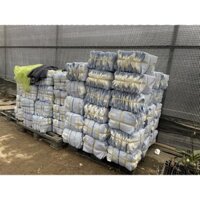 50c túi vải trồng cây cỡ 30x30 cm Nga Garden