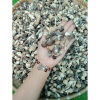50g Nấm Mối Đen Khô (Sấy Thăng Hoa)
