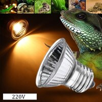 50w Bóng đèn sưởi UVA UVB cho thú cưng bò sát rùa cảnh iguana