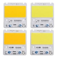 50W LED COB Chip Integrated Smart IC Driver for Flood Light AC110V / AC220V