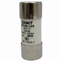520509 - Cầu chì hình ống CHINT RT29-125