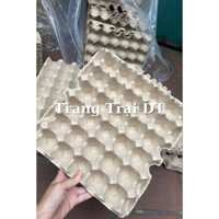 53 Vỉ giấy đựng trứng gà, khay trứng giấy, Hàng Mới Cứng (Hàng VN) - Miễn phí vận chuyển