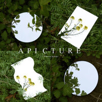 [5611 Lời khen ngợi của mọi người] ins Gương không đều Gương hình đặc biệt Đạo cụ ảnh Trang điểm Gương trang điểm Bảng phản chiếu Acrylic Nền chụp ảnh WH240323