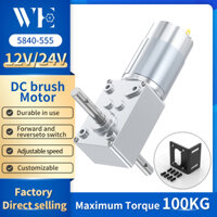 5840-555 Động cơ DC chải thu nhỏ 12V-24V Trục dài đôi 11RPM ~ 470RPM Động cơ điều khiển tốc độ chuyển đổi phía trước và ngược