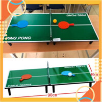 [5❤️][FREESHIP] BỘ BÓNG BÀN PINGPONG MINI CHO BÉ LUYỆN TẬP SỨC KHỎE .TRÍ TUỆ [HCM]