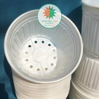 5c Chậu nhựa trồng cây 26x20cm Trắng sữa - Chậu nhựa trồng hoa, phù hợp các dòng hoa bụi lớn, chậu trồng hoa hồng