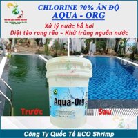 5kg Clo Ấn Độ - chlorine 70% xử lý nước hồ bơi, khử trùng nước sinh hoạt, diệt rong rêu tảo, tẩy uế mùi hôi