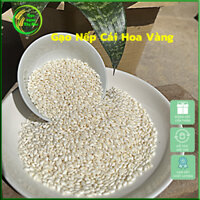 [5kg] Gạo Nếp Cái Hoa Vàng (Loại chuẩn)