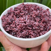 5kg Gạo Tẻ Nương Tím Đặc Sản Tây Bắc Thơm Dẻo Hưu Cơ