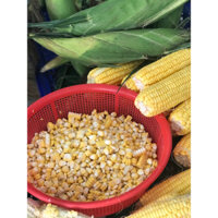 5KG HẠT BẮP MỸ TƯƠI TÁCH SẴN