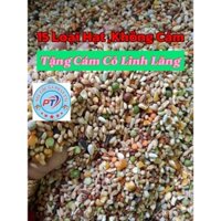 5kg Mẫu Ngũ Cốc Không Cám(Tặng Cám Cỏ Linh Lăng)