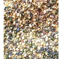 5KG ngũ cốc cho gà đá ngũ cốc cho gà nòi ngũ cốc cho gà tre ngũ cốc bồ câu ngũ cốc cho vịt ngũ cốc gà giò