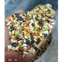 5KG Ngũ Cốc Gà tre Thức Ăn Gà Chọi thức ăn gà tre thức ăn gà đá