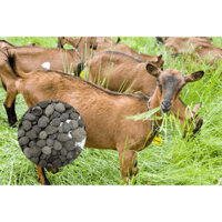 5kg Phân Dê Đã Qua Xử Lý Nấm Tricoderma Loại Đẹp