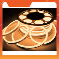 5M , 10M DÂY ĐÈN LED NEON 8x16mm 220V LOẠI 1 MẶT SANG CÓ SẴN NGUỒN