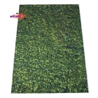 5x7ft (150x210cm) Phông nền cỏ xanh thiên nhiên Chụp ảnh Nền sinh nhật đám cưới hoặc trẻ em