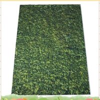 5x7ft (150x210cm) Phông nền cỏ xanh thiên nhiên Chụp ảnh đám cưới hoặc trẻ em Nền sinh nhật