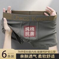 6 Gói Quần Lót Nam Graphene Kháng Khuẩn Boxer Quần Đùi Nam Cotton Nguyên Chất Mới Giữa Eo Boxer Quần Đùi Nam