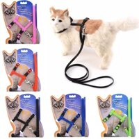 6 Màu Có Thể Điều Chỉnh Cho Thú Cưng Mèo Cổ Chói Nylon Thỏ Mèo Con Kedi Dây Xích Bộ Chó Mèo Phụ Kiện