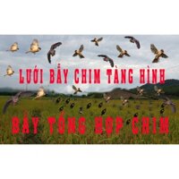 60 mét lưới bẫy cu sáo vẹt cò, tổng hợp chim ngày( lỗ 6 phân chiều cao 5m 4 dây 3 túi) lưới cước thái màu đen tàn hình