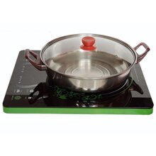 Bếp điện từ đơn Zircon ZCN-317