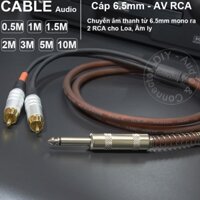 6.5 ly mono ra 2AV DIY 0.5M đến 10M - 6.35mm mono to RCA cable