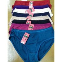 (6888)combo,10 quần lót cotton trơn ,nâng mông giá cực sốc