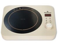 6TCH Bếp từ đơn BlueStone ICB-6618