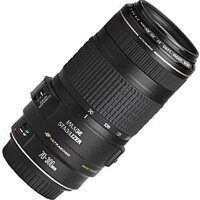 70-300mm f/4-5.6 IS USM EF Lens Used